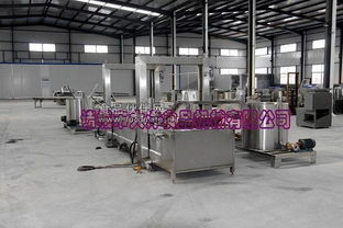 諸城市大洋食品機(jī)械推出全新高效油炸生產(chǎn)線，引領(lǐng)食品加工設(shè)備性能新標(biāo)桿